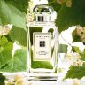 Jo Malone French Lime Blossom - 0