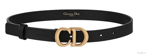 Dior Saddle CD Гладкая телячья кожа 30 мм