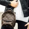 Louis Vuitton Palm Springs Backpack MINI - 0